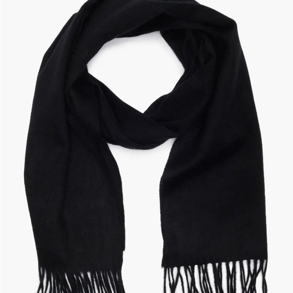 Nordstrom Rack Other - Nordstrom Rack Cashmere Fringe Scarf